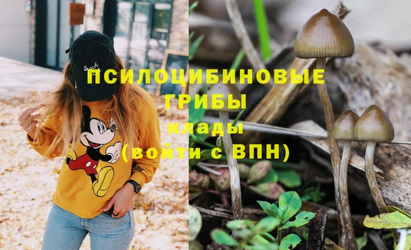 COCAINE Лиски