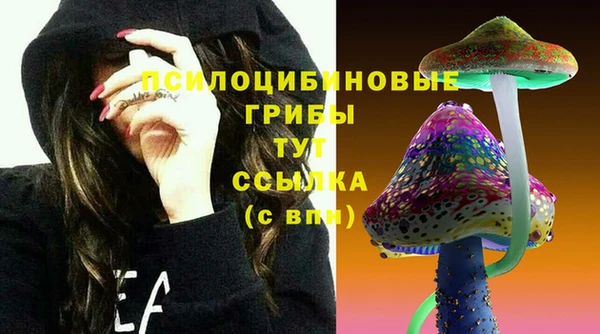 трава Абдулино