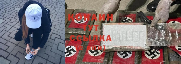 дживик Абинск